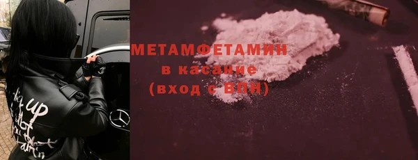 шишки Лагань
