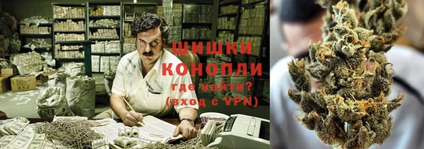 шишки Лагань