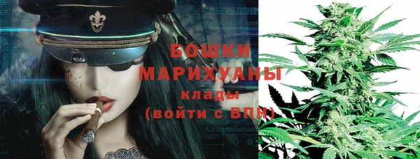 шишки Лагань
