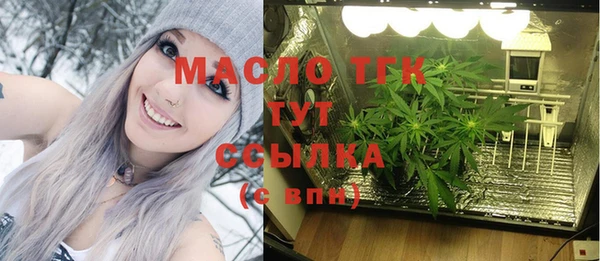 шишки Лагань