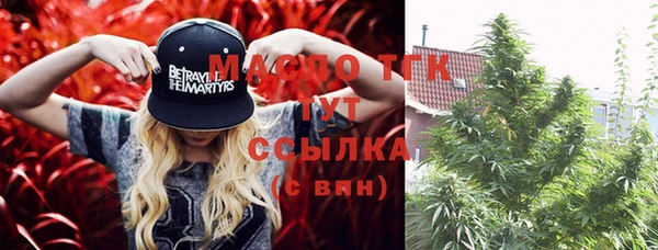 шишки Лагань