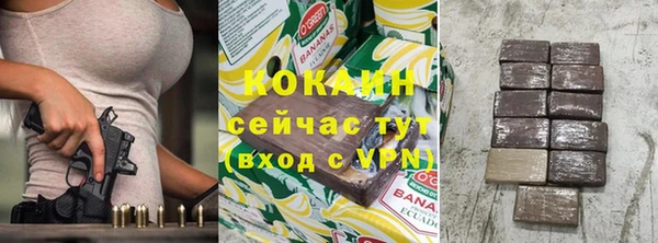 шишки Лагань
