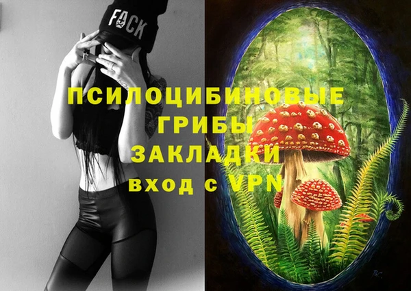 наркотики Ладушкин