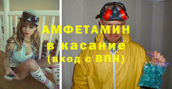 шишки Лагань
